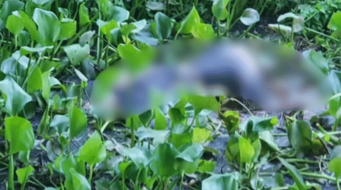 শরীয়তপুরে ডোবা থেকে ভেসে উঠলো অজ্ঞাত তরুণীর মরদেহ, এলাকায় চাঞ্চল্য