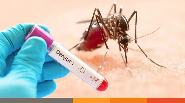 চট্টগ্রামে ডেঙ্গুর ঊর্ধ্বগতি: একদিনেই শনাক্ত ২৩, বর্ষায় বাড়ছে উদ্বেগ