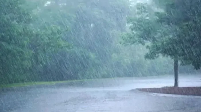 শিরোনাম: দেশে বৃষ্টিপাতের স্বাভাবিক চিত্র বদলাচ্ছে, দক্ষিণাঞ্চল ছাড়া বাকি অংশে শূন্যতার আভাস