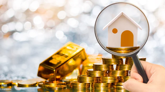 শর্ট টাইটেল: বিমানবন্দর স্বর্ণ আত্মসাত