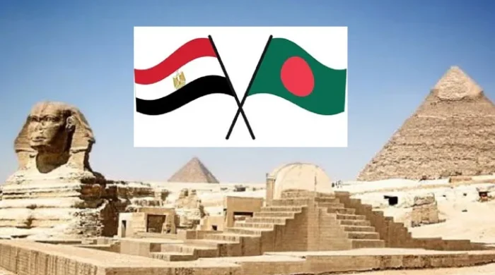 মিসরের ভিসা নিয়ে বিভ্রান্তি দূর করল দূতাবাস: বাংলাদেশিদের জন্য কোনো নিষেধাজ্ঞা নেই