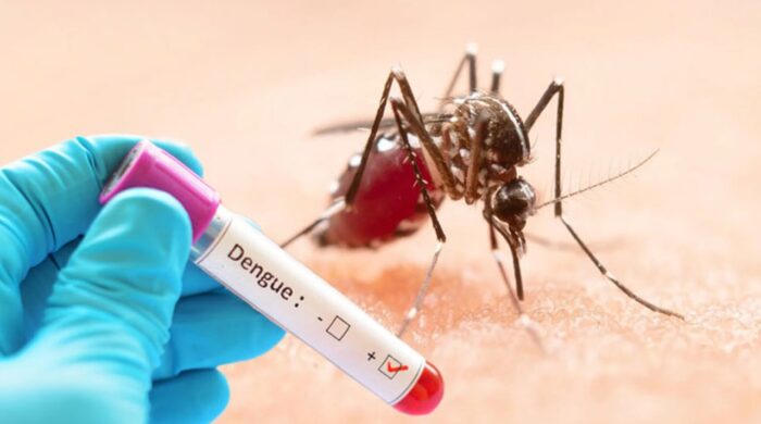 ডেঙ্গুতে ৫ জনের মৃত্যু বৃদ্ধি, হাসপাতালে ভর্তি ১,১৩৯
