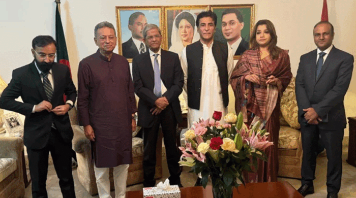 বিএনপির সঙ্গে বৈঠকে পাকিস্তানের নবনিযুক্ত হাইকমিশনার