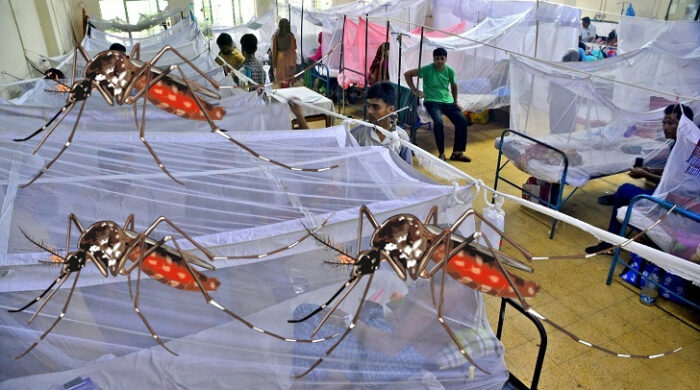 ডেঙ্গু পরিস্থিতি মোকাবেলায় ১২ দফা জরুরি নির্দেশনা জারি, হাসপাতালে সতর্কতা বৃদ্ধি