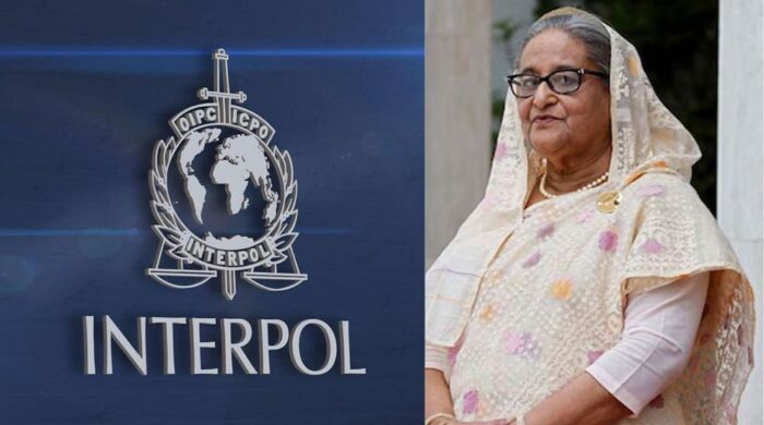 হাসিনা ও জয়কে গ্রেপ্তারের জন্য ইন্টারপোল রেড নোটিশ জারির আহ্বান