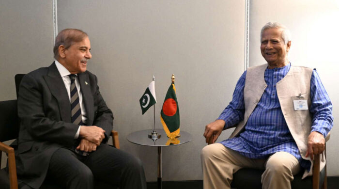 নিউইয়র্কে পাকিস্তানের প্রধামন্ত্রীর সাথে বৈঠক ড. মুহাম্মদ ইউনূসের