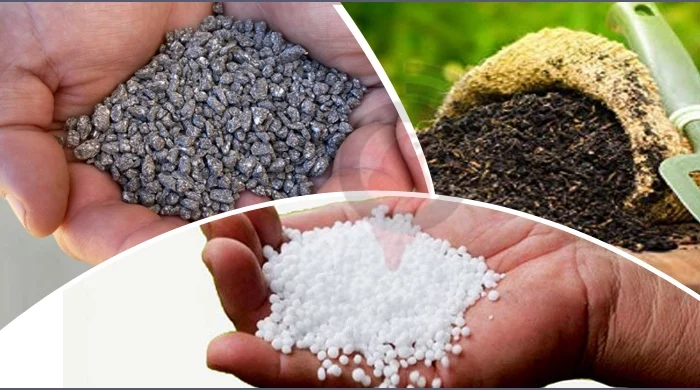 মৌলভীবাজারে সারের সংকটে কৃষকরা, নিয়ন্ত্রণে আ.লীগ সমর্থিত সিন্ডিকেট