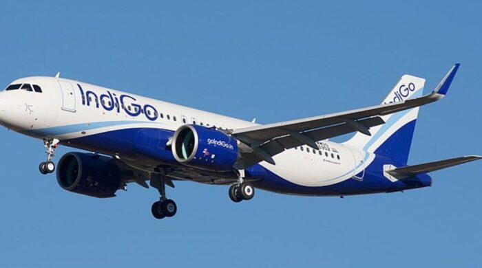 ভারতে বিমানে ‘বার্ড স্ট্রাইকর শিকার