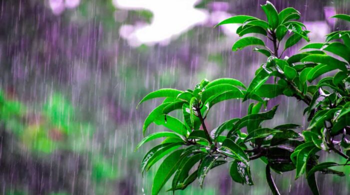 👉 শর্ট টাইটেল: দেশের বিভিন্ন জেলায় বৃষ্টি ও বজ্রবৃষ্টির আভাস