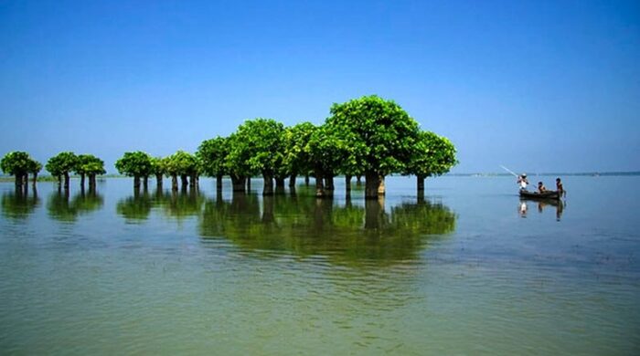 সুনামগঞ্জ হাওরে যুবকের ভাসমান মরদেহ উদ্ধার, রহস্য ঘিরে আতঙ্ক