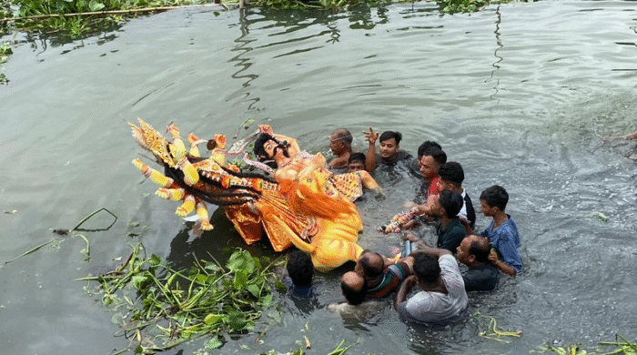 বিজয়া দেখতে গিয়ে
