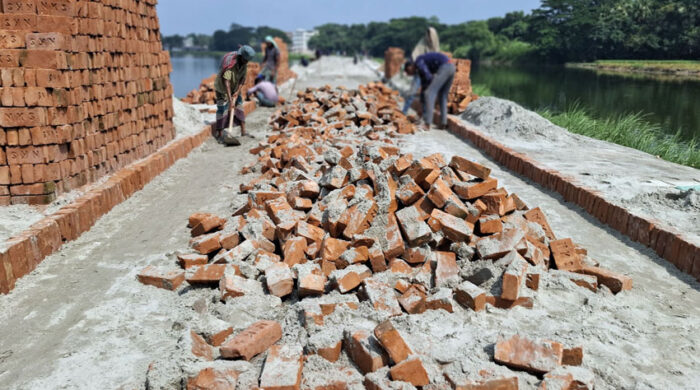 ৬ কোটি টাকার সড়ক নির্মাণে নিম্নমানের ইটের অভিযোগ