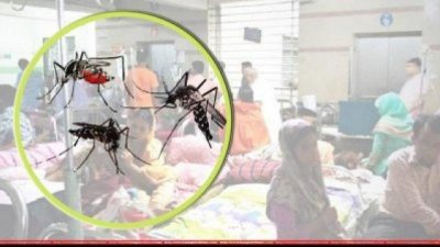 ২৪ ঘণ্টায় ডেঙ্গু আক্রান্ত ৪৮৮, কোনো মৃত্যু ঘটেনি