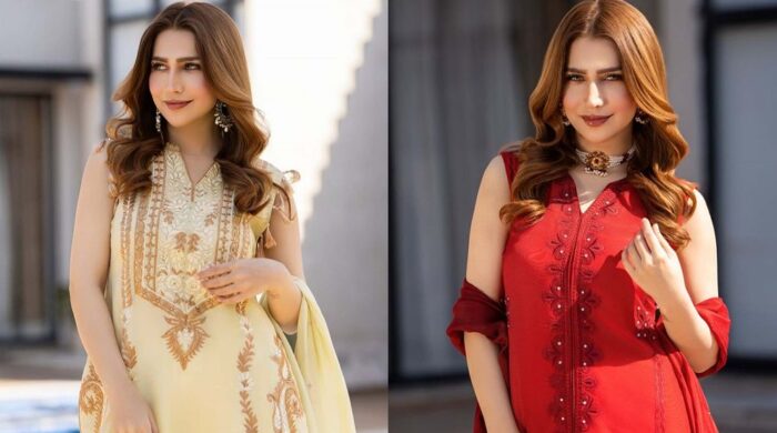 পাকিস্তানি তারকার পার্টিতে পুলিশের হানা, গ্রেফতার ৫১