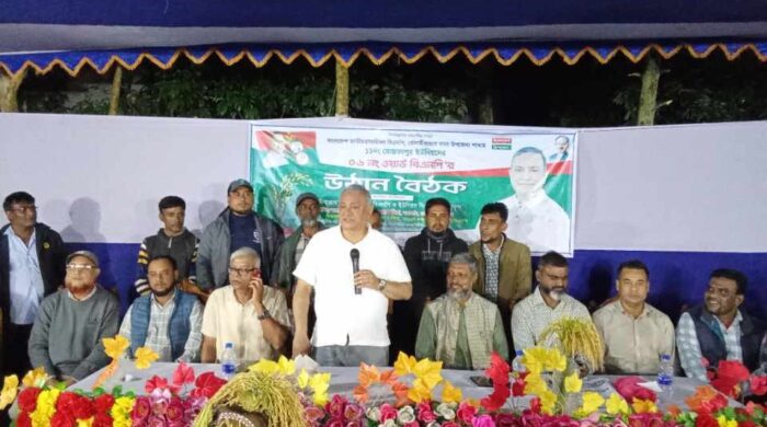 আ.লীগের ভোটারদের নিরাপত্তা দেবে বিএনপি: নাসের রহমান