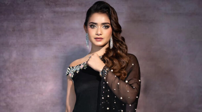 শাড়ি নিয়ে বিরোধের জেরে তানজিন তিশার বিরুদ্ধে জিডি