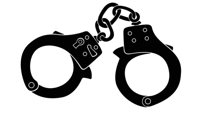 দুই ভাই হত্যার মামলায় নরসিংদীতে প্রধান আসামিসহ তিনজন আটক