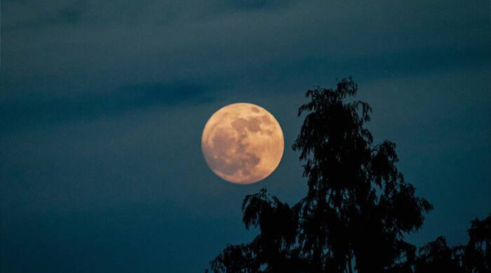 আজ রাতেই আকাশে বিরল দৃশ্য: ‘বিভার সুপারমুন’ উদ্ভাসিত হবে পূর্ণ জ্যোৎস্নায়