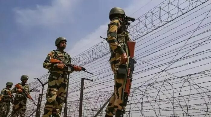 দুই বাংলাদেশিকে পিটিয়ে হত্যার পর পদ্মায় ফেললো বিএসএফ