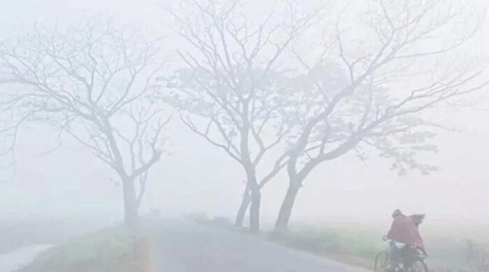 চুয়াডাঙ্গার শীতের তীব্রতা বাড়ছে