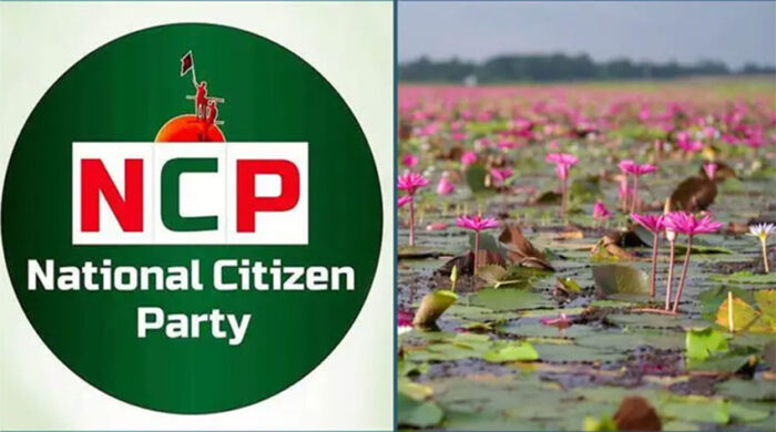 সমঝোতা হলেও শাপলা কলি প্রতীকেই নির্বাচন করবে এনসিপি