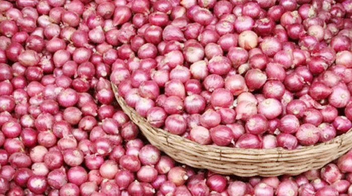 পেঁয়াজের দাম