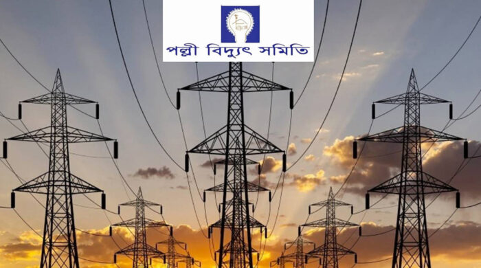 পল্লী বিদ্যুৎ সমিতিতে বিভিন্ন ক্যাটাগরিতে নিয়োগ ঘোষণা