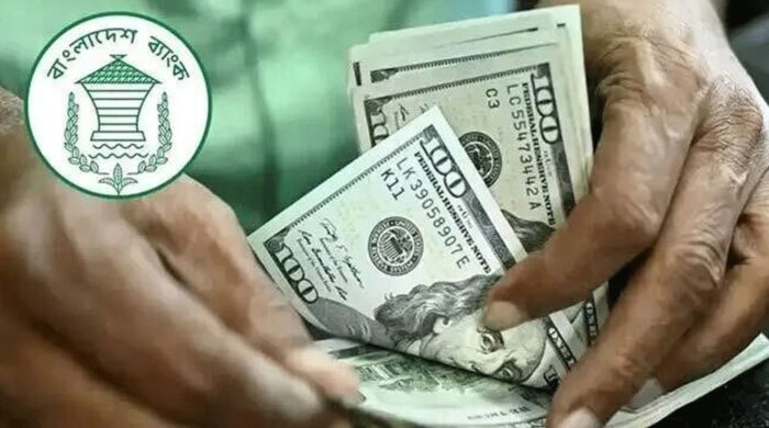 ডিসেম্বরের প্রথম সপ্তাহে রেমিট্যান্স পৌঁছালো ৮৭ কোটি ডলার