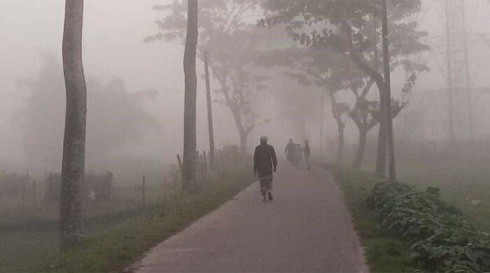 শ্রীমঙ্গলে শীতের তীব্রতা, কুয়াশায় জনজীবন স্থবির