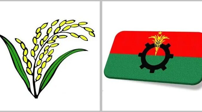 বিএনপির মনোনয়ন