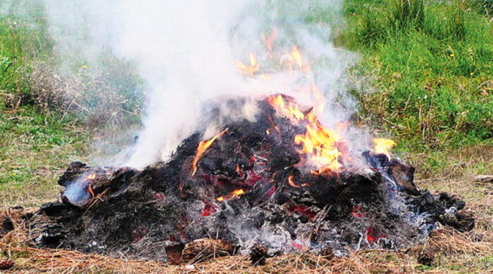 বর্জ্য পোড়ানোর ছবি পাঠালে পুরস্কার, বায়ুদূষণরোধে উদ্যোগ