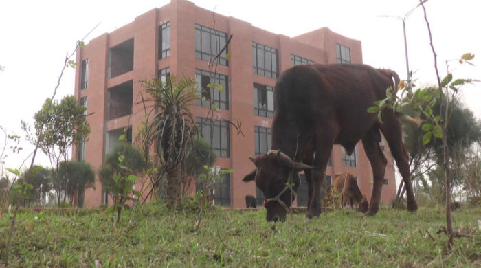 ৫৫ কোটি টাকার ট্রাক বিশ্রামাগার মাদকসেবীদের আস্তানা