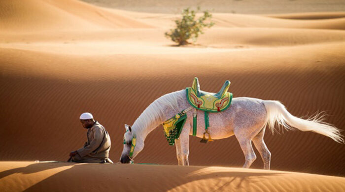 মুসাফির অবস্থায় সুন্নত নামাজ: কী করবেন, কী নয়