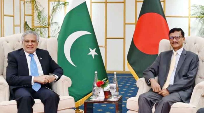 তৌহিদ–ইসহাক দারের ফোনালাপ: বাণিজ্য ও আঞ্চলিক স্থিতিশীলতায় নতুন বার্তা