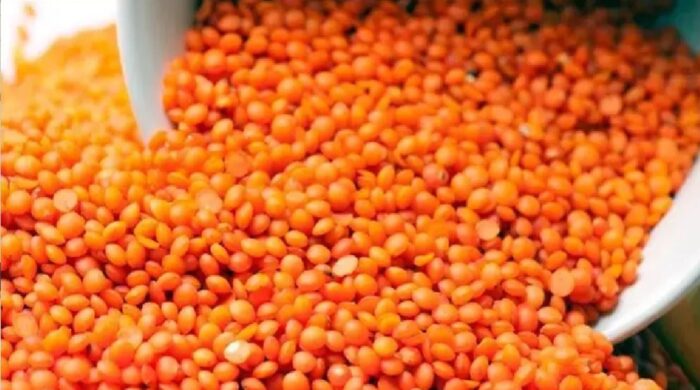 রমজান সামনে রেখে ৭১ কোটি টাকায় মসুর ডাল কিনছে সরকার