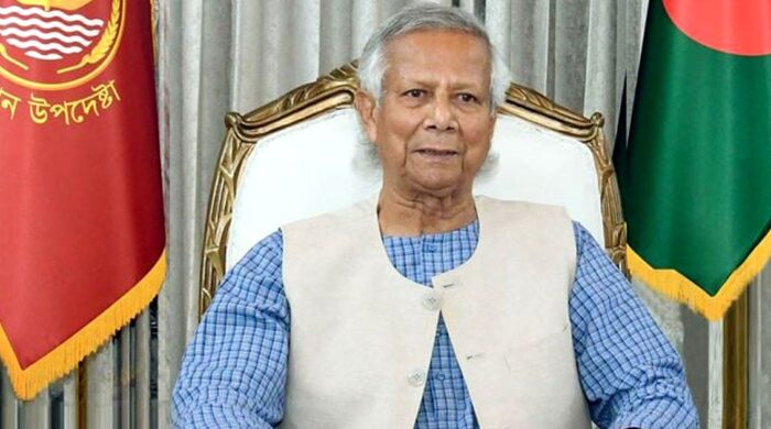 নির্বাচিত সরকারের হাতে ক্ষমতা দিতে প্রস্তুত অন্তর্বর্তী সরকার