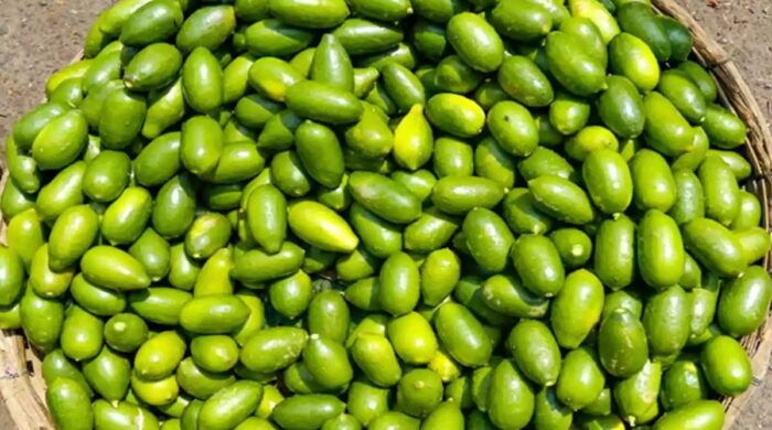 শ্রীমঙ্গলে লেবুর দাম বৃদ্ধি