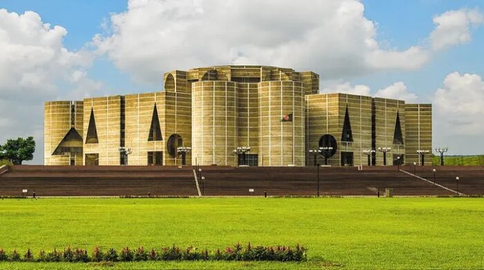 সংসদে হুইপের কাজ কী