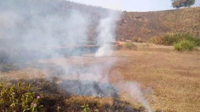 শাবিপ্রবি টিলায় আগুন আহত ৬