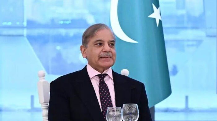 কাশ্মীরই পাকিস্তানের পররাষ্ট্রনীতির কেন্দ্রবিন্দু: ভারতের প্রতি শাহবাজের বার্তা