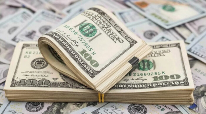 ফেব্রুয়ারির শুরুতেই রেমিট্যান্সে জোয়ার, এলো ৫০ কোটি ডলার