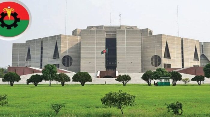 নবীন-প্রবীণ সমন্বয়ে বিএনপি মন্ত্রিসভা গঠিত হবে