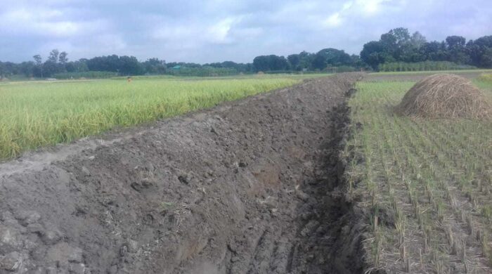 আক্কেলপুরে সড়ক কাজের জন্য ফসলি জমি কাটা নিয়ে সমস্যা