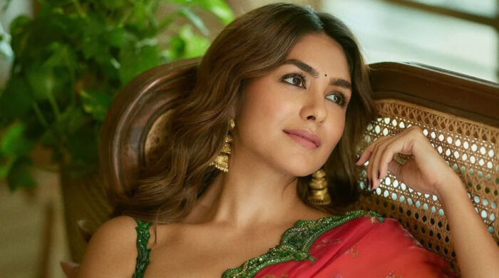 হৃতিকের সঙ্গে কাজ, সম্পর্ক নিয়ে ম্রুণালের স্বীকারোক্তি