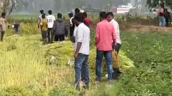 কালাইয়ে কৃষকের জমি থেকে সরিষা কেটে নিলেন যুবদল নেতা