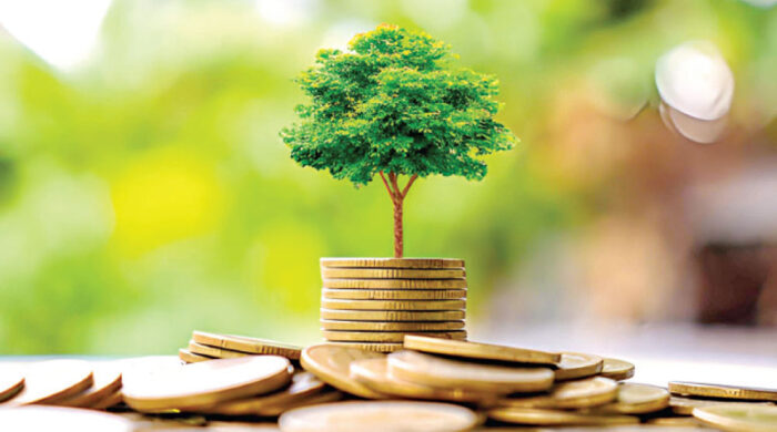 সহানুভূতির অর্থনীতি, শোষণমুক্ত সমাজ: ইসলামের দৃষ্টিভঙ্গি