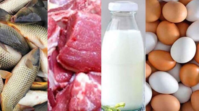 রমজানে স্বস্তির বাজার: কম দামে মাংস-মুরগি, ডিম ও দুধ বিক্রি