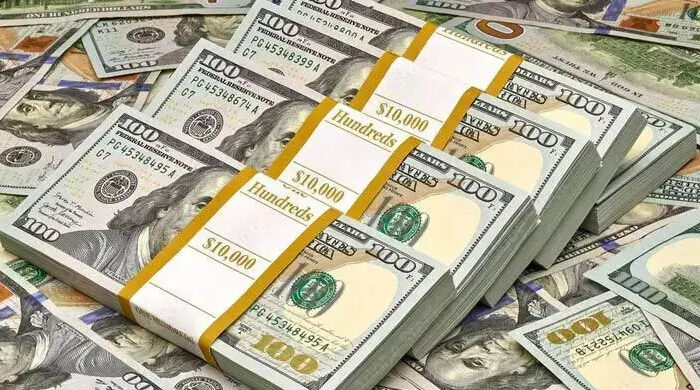 রিজার্ভ জোরদারে আরও ১৭১ মিলিয়ন ডলার কিনল কেন্দ্রীয় ব্যাংক
