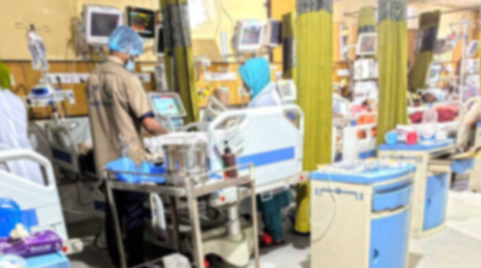 ক্যানডিডা অরিস