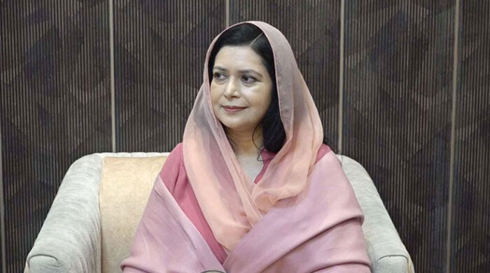 এআই ব্যবহারে শিক্ষা বদলে যাবে: জুবাইদা রহমান